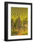 Rows of Grape Vines in Vineyard Near to Vezelay in Burgundy, France, Europe-Julian Elliott-Framed Photographic Print