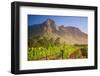 Rows of Grapevines at Vineyard-Jon Hicks-Framed Photographic Print