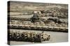 Rows of Heavy Vehicles and Supplies at Camp Warrior, Afghanistan-null-Stretched Canvas