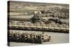 Rows of Heavy Vehicles and Supplies at Camp Warrior, Afghanistan-null-Stretched Canvas