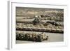 Rows of Heavy Vehicles and Supplies at Camp Warrior, Afghanistan-null-Framed Photographic Print