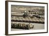 Rows of Heavy Vehicles and Supplies at Camp Warrior, Afghanistan-null-Framed Photographic Print