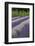 Rows of Lavender in Field with Sunflowers, Sequim, Washington, USA-Merrill Images-Framed Photographic Print