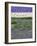 Rows of Lavender-Terry Eggers-Framed Photographic Print