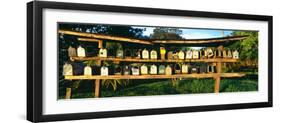 Rows of Mailboxes Along Road to Hana, Maui, Hawaii-null-Framed Photographic Print