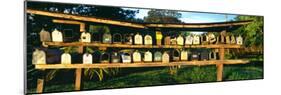 Rows of Mailboxes Along Road to Hana, Maui, Hawaii-null-Mounted Photographic Print