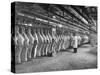 Rows of Meat in Storage at Bronx Warehouse-Herbert Gehr-Stretched Canvas