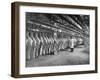 Rows of Meat in Storage at Bronx Warehouse-Herbert Gehr-Framed Premium Photographic Print
