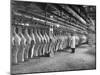 Rows of Meat in Storage at Bronx Warehouse-Herbert Gehr-Mounted Premium Photographic Print