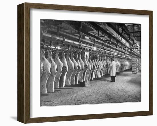 Rows of Meat in Storage at Bronx Warehouse-Herbert Gehr-Framed Photographic Print