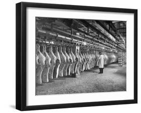 Rows of Meat in Storage at Bronx Warehouse-Herbert Gehr-Framed Photographic Print