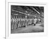 Rows of Meat in Storage at Bronx Warehouse-Herbert Gehr-Framed Photographic Print