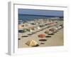 Rows of Open Beach Umbrellas Lining a Sandy Cape Cod Beach-Dmitri Kessel-Framed Photographic Print