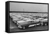 Rows of Plymouth Motor Cars Automobiles-null-Framed Stretched Canvas