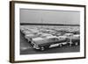 Rows of Plymouth Motor Cars Automobiles-null-Framed Photographic Print