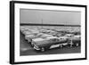 Rows of Plymouth Motor Cars Automobiles-null-Framed Photographic Print