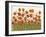 Rows of Poppies I-Tim O'toole-Framed Art Print