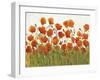 Rows of Poppies I-Tim O'toole-Framed Art Print