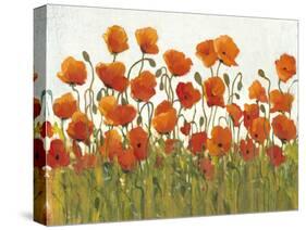 Rows of Poppies I-Tim O'toole-Stretched Canvas