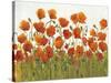 Rows of Poppies I-Tim O'toole-Stretched Canvas