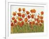 Rows of Poppies I-Tim O'toole-Framed Art Print