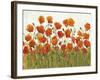 Rows of Poppies I-Tim O'toole-Framed Art Print