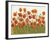 Rows of Poppies I-Tim O'toole-Framed Art Print