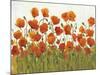 Rows of Poppies I-Tim O'toole-Mounted Art Print