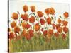 Rows of Poppies I-Tim O'toole-Stretched Canvas