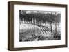 Rows of Posts in Front of the Maginot Line, Ca. 1940-null-Framed Photographic Print