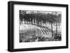 Rows of Posts in Front of the Maginot Line, Ca. 1940-null-Framed Photographic Print