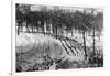 Rows of Posts in Front of the Maginot Line, Ca. 1940-null-Framed Photographic Print