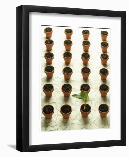 Rows of Pots and One Plant-Colin Anderson-Framed Photographic Print