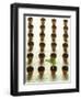 Rows of Pots and One Plant-Colin Anderson-Framed Photographic Print