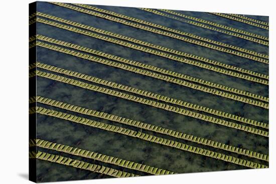 Rows of racks used in oyster farming at high tide, Ile de Re, Charente-Maritime, France, July 2017.-Loic Poidevin-Stretched Canvas