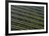 Rows of racks used in oyster farming at high tide, Ile de Re, Charente-Maritime, France, July 2017.-Loic Poidevin-Framed Photographic Print