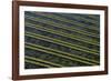 Rows of racks used in oyster farming at high tide, Ile de Re, Charente-Maritime, France, July 2017.-Loic Poidevin-Framed Photographic Print