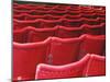 Rows of Red Theatre Seats-Kevin Walsh-Mounted Premium Photographic Print