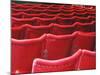 Rows of Red Theatre Seats-Kevin Walsh-Mounted Photographic Print