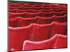 Rows of Red Theatre Seats-Kevin Walsh-Mounted Photographic Print