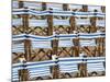 Rows of Traditional Blue and White Deckchairs, Eastbourne, Sussex, Uk-Nadia Isakova-Mounted Photographic Print