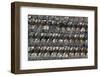 Rows of Victorian Terraced Houses in London, England, United Kingdom, Europe-Alex Treadway-Framed Photographic Print