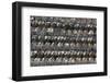 Rows of Victorian Terraced Houses in London, England, United Kingdom, Europe-Alex Treadway-Framed Photographic Print