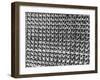 Rows of Wine Bottles-Carl Mydans-Framed Photographic Print