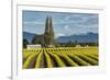 Rows of yellow Tulips, Skagit Valley Tulip Festival, Washington State-Adam Jones-Framed Photographic Print