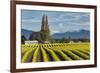 Rows of yellow Tulips, Skagit Valley Tulip Festival, Washington State-Adam Jones-Framed Photographic Print