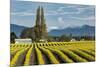 Rows of yellow Tulips, Skagit Valley Tulip Festival, Washington State-Adam Jones-Mounted Photographic Print
