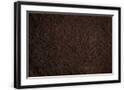 Chelsea Black