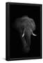 Essential Black