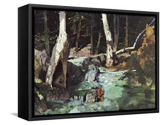 Stretched Canvas Print, , large